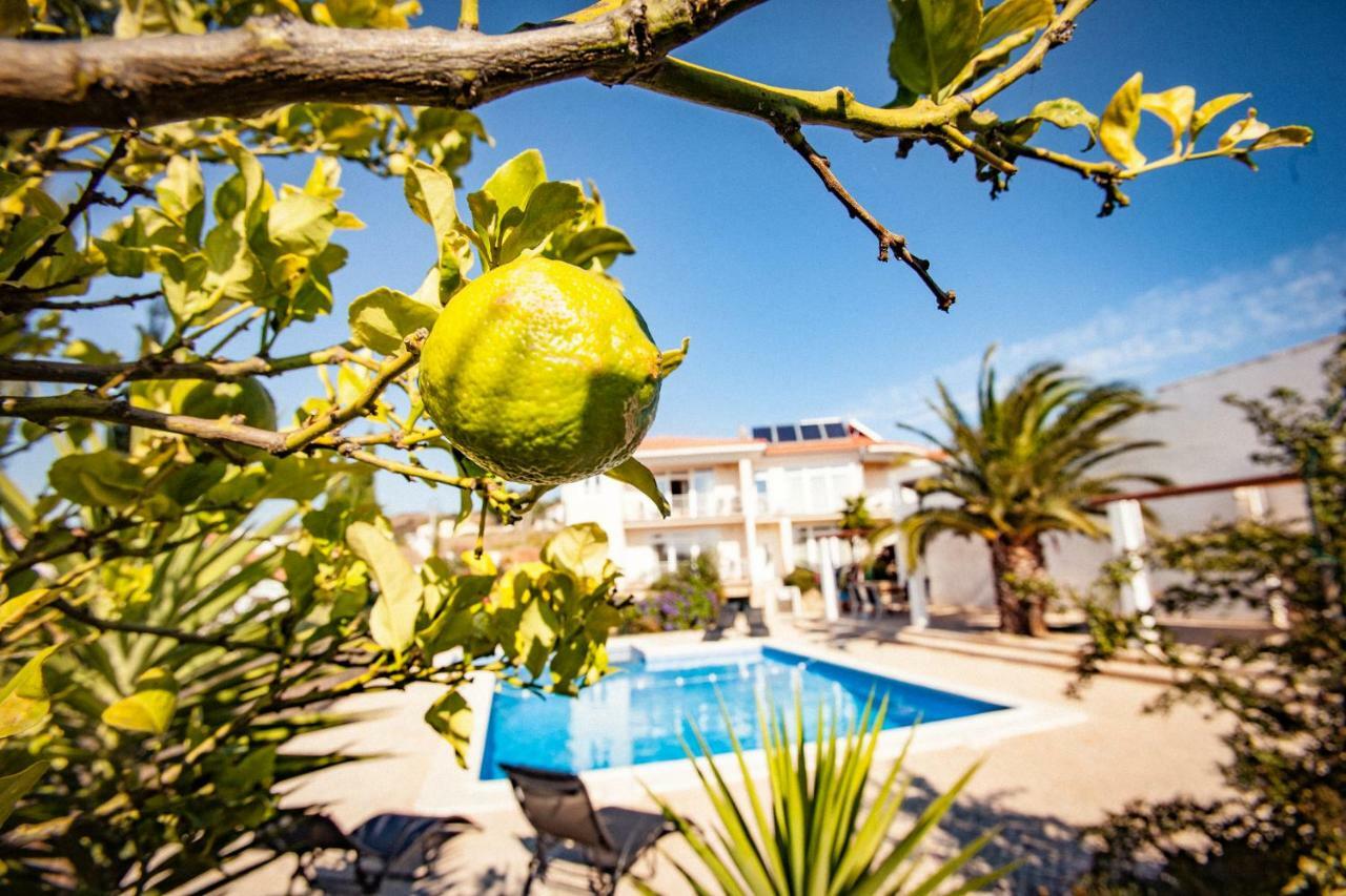 Casa Do Pocinho Leilighet Raposeira  Eksteriør bilde